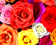 red color increase