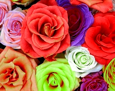red color decrease