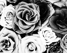 Black and White Edit, for Low Cost Print