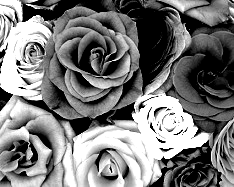Hight Contrast:Black, White, Gray, Edit for Low Cost Print