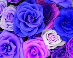 Hue and contrast change