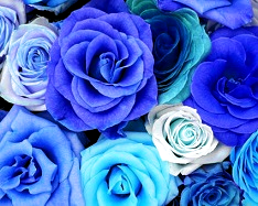 Hue change, Color Replace by Azure