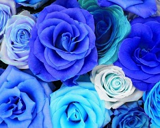 Hue and contrast change, color replace by azure - 1