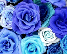 Hue and contrast change, color replace by azure - 3