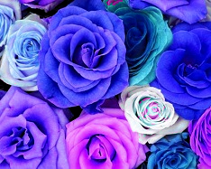 Hue change, Color Replace by Blue