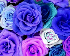 Hue and contrast change, color replace by blue - 2