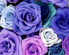 Hue and contrast change, color replace by blue - 3