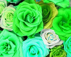 Hue change, Color Replace by Green