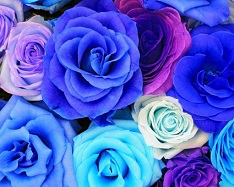 Hue and contrast change, Shift Hue, Azure Tint - 1