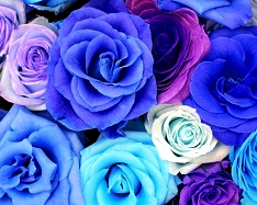 Hue and contrast change, Shift Hue, Azure Tint  - 2