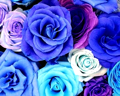 Hue and contrast change, Shift Hue, Azure Tint  - 3