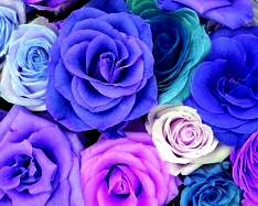 Hue and contrast change, Shift Hue, Purple Tint  - 2