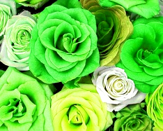 Hue change, Color Replace by Lime