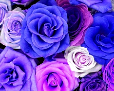 Hue change, Color Replace by Purple