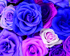 Hue and contrast change, color replace by purple - 1