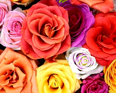 Hue and contrast change, replace with red - 1