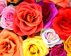 Hue and contrast change, replace with red - 2