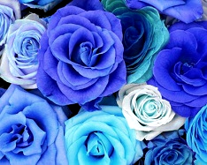 Replace Colors With Azure Tint