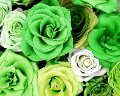Replace Colors With Lime Tint