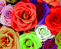 Reduce Red Color
