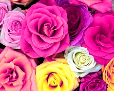 Enhance RGB, blue color enhance - 3