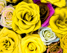 Enhance RGB, green color enhance - 3