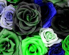 Reduce RGB: Remove Red - 1