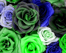 Reduce RGB: Remove Red - 2