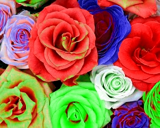 Reduce RGB: Remove Red - 3