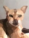 Photo to Painting having least colors