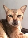 Photo to Painting with less detail