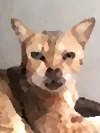 Photo to Painting with lesser detail